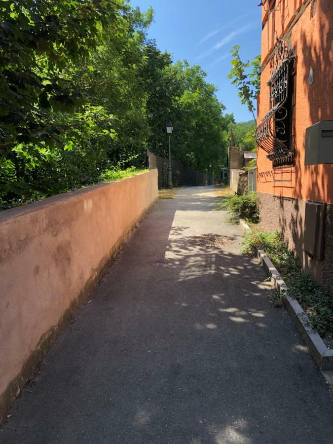 Gite "Rempart Sud" A Ribeauville Exterior foto